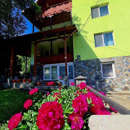 Vila Giulia Войняса Екстер'єр фото